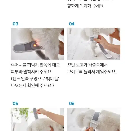 꼬잇 강아지 쓸개골 치료제 밴드만 새거