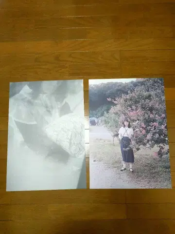 가네코야노 모치치크 포스터 플라이어 포함