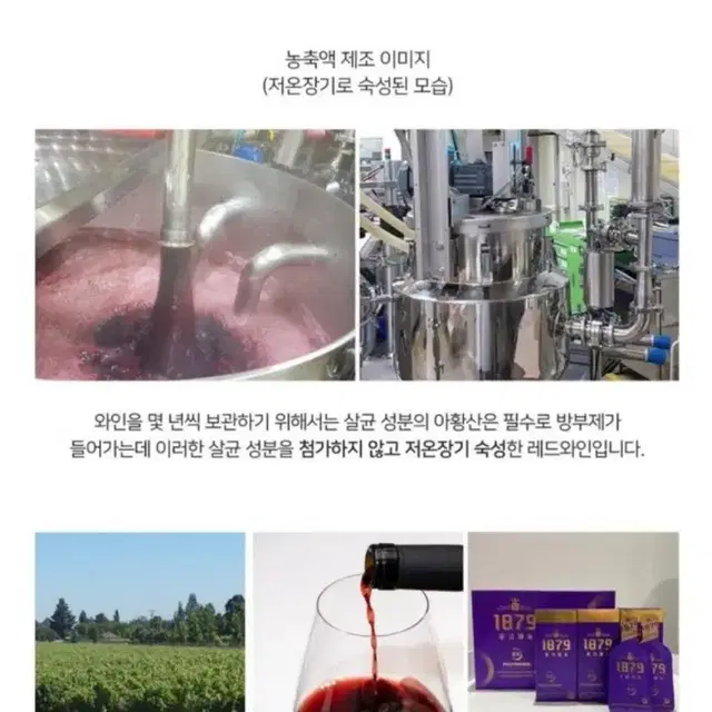 항산화 폴리페놀