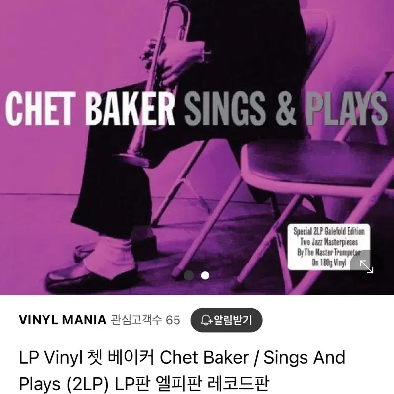 챗베이커 sings & plays LP