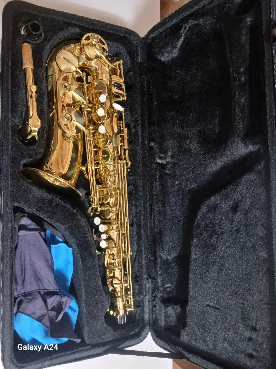 Kingston Alto Saxophone