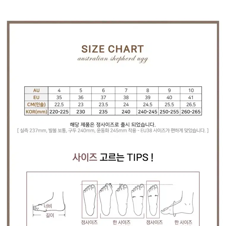 에버어그 벤터스 플랫폼 4CM