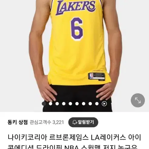 NBA LA레이커스 르브론 제임스 유니폼 져지 스윙맨