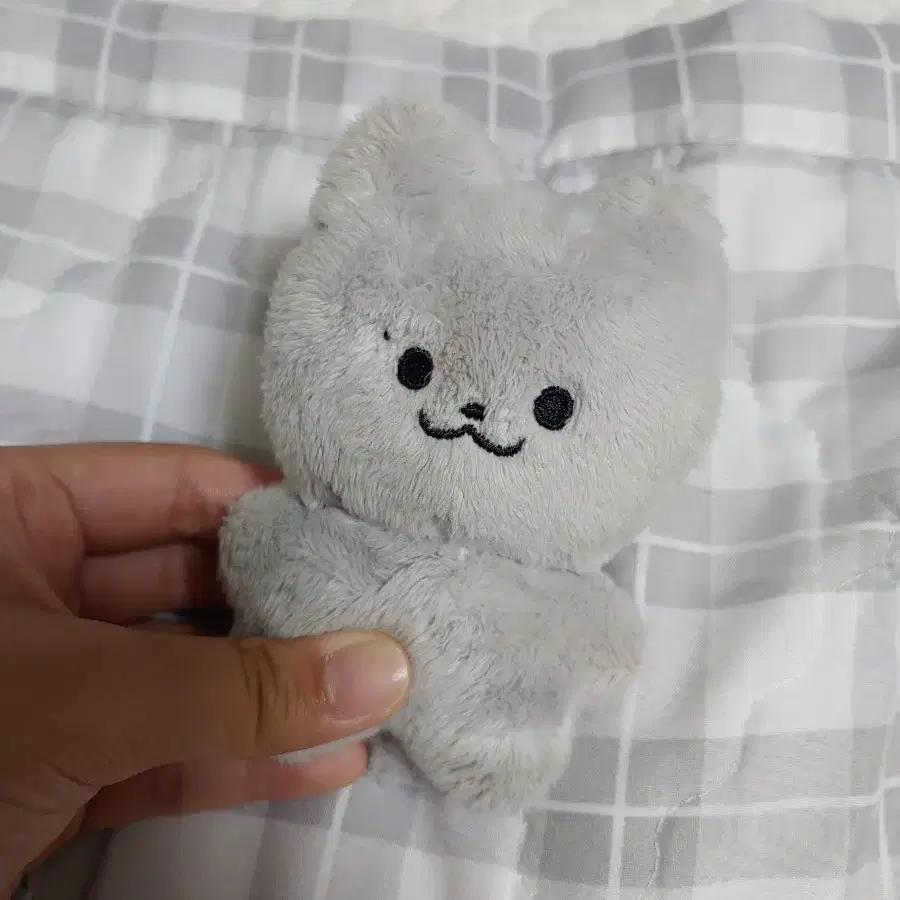 진짜마지막할인)더보이즈 주연 인형 주냥이 쥬냥이 이재현 달곰이 양도