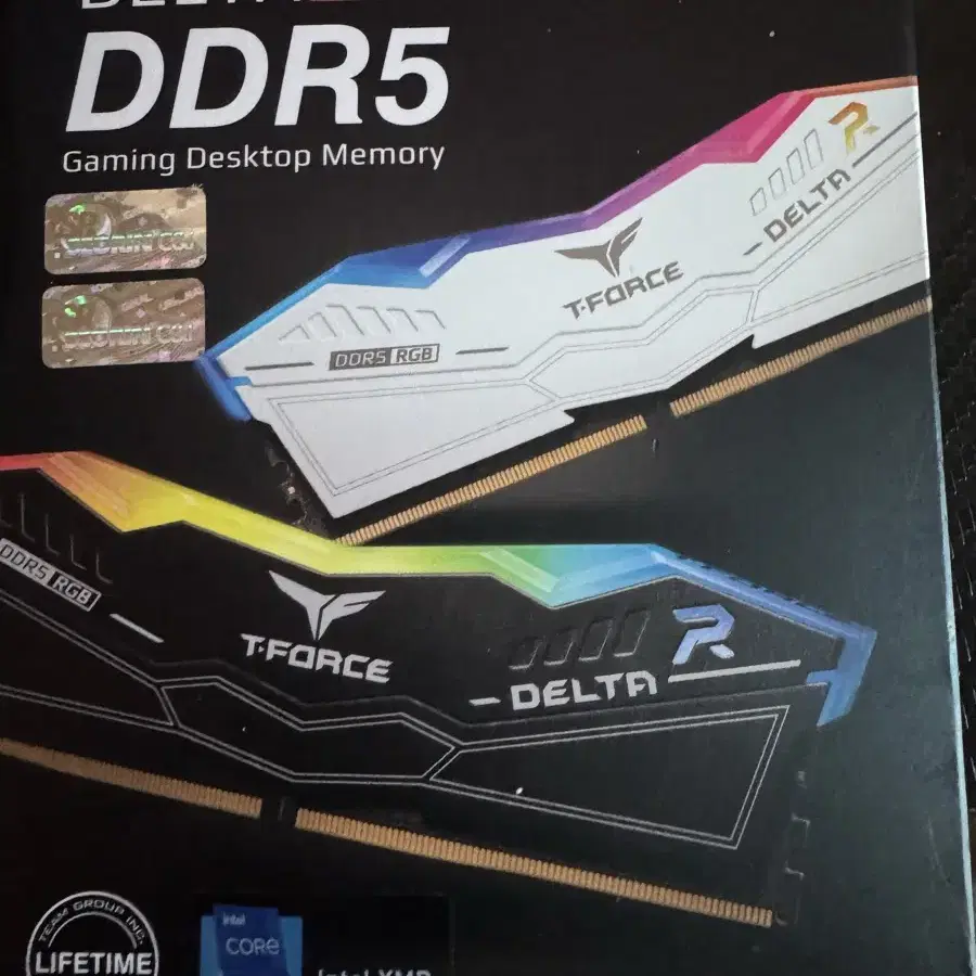 팀그룹 t force ddr5 5600 cl36