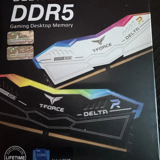 팀그룹 t force ddr5 5600 cl36