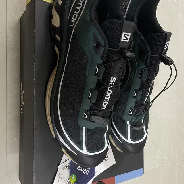 SALOMON XT-6 FT / PONDEROSA FINE / 280