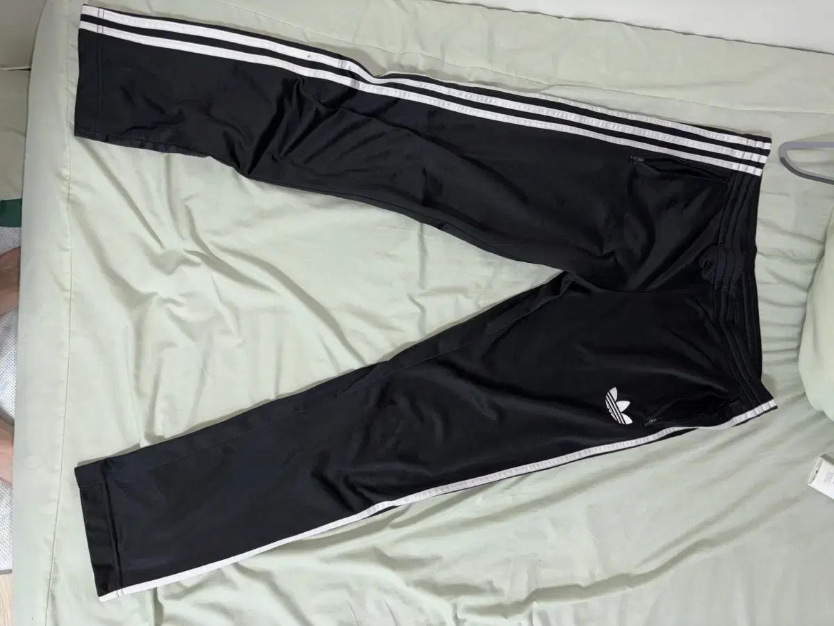 adidas Jersey Firebird Pants Training Pants