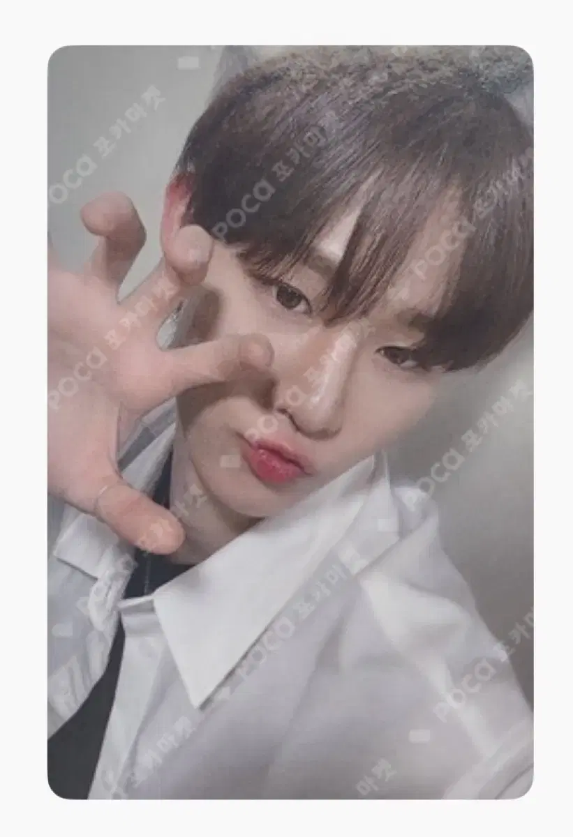 unreleased photocard) evnne ji yunseo yizhiyu unreleased photocard wts