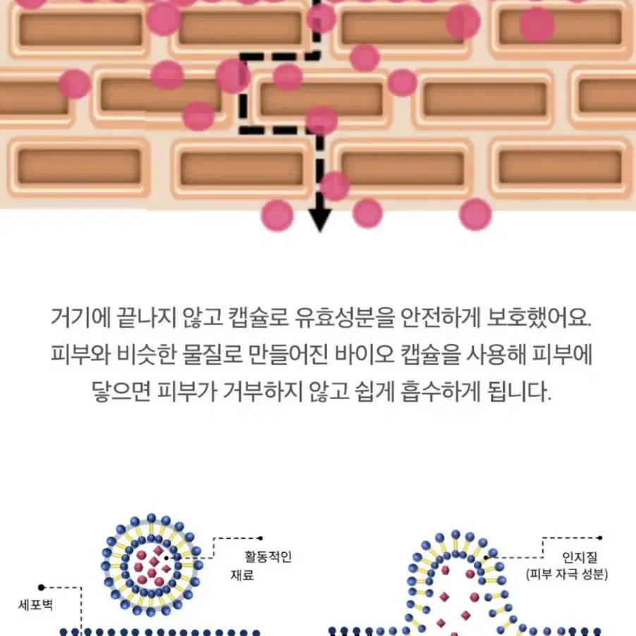 기미 잡티 미백 세니지아 유니크미 마이크로마이옴 세라마이드 리포좀 앰플