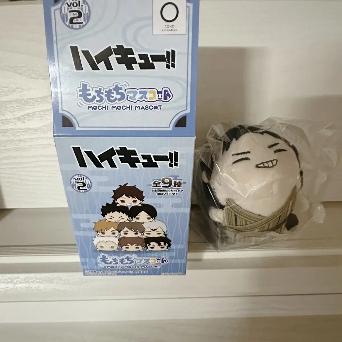 Haikyuu Iwaizumi Hajime Mochi Mascot (lancet simple unsealed)