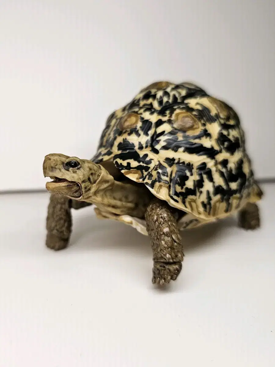 Atlas of Life Leopard Tortoise Figure