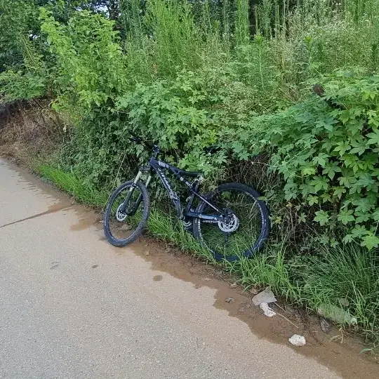 캐논데일 풀샥 판매