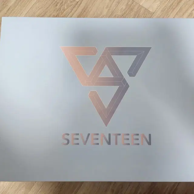 세븐틴 러기지백