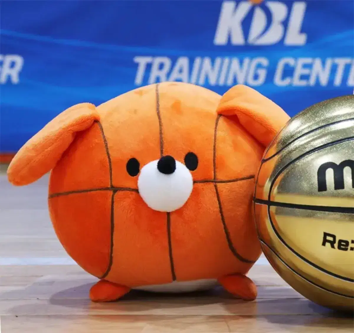 KBL 공아지 인형