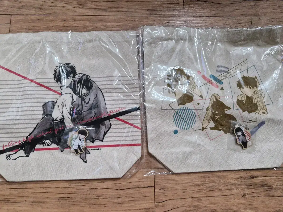 Unsealed) 2 eco-bags of Fallen High School Girl and Lungin Teacher Manbokgacha