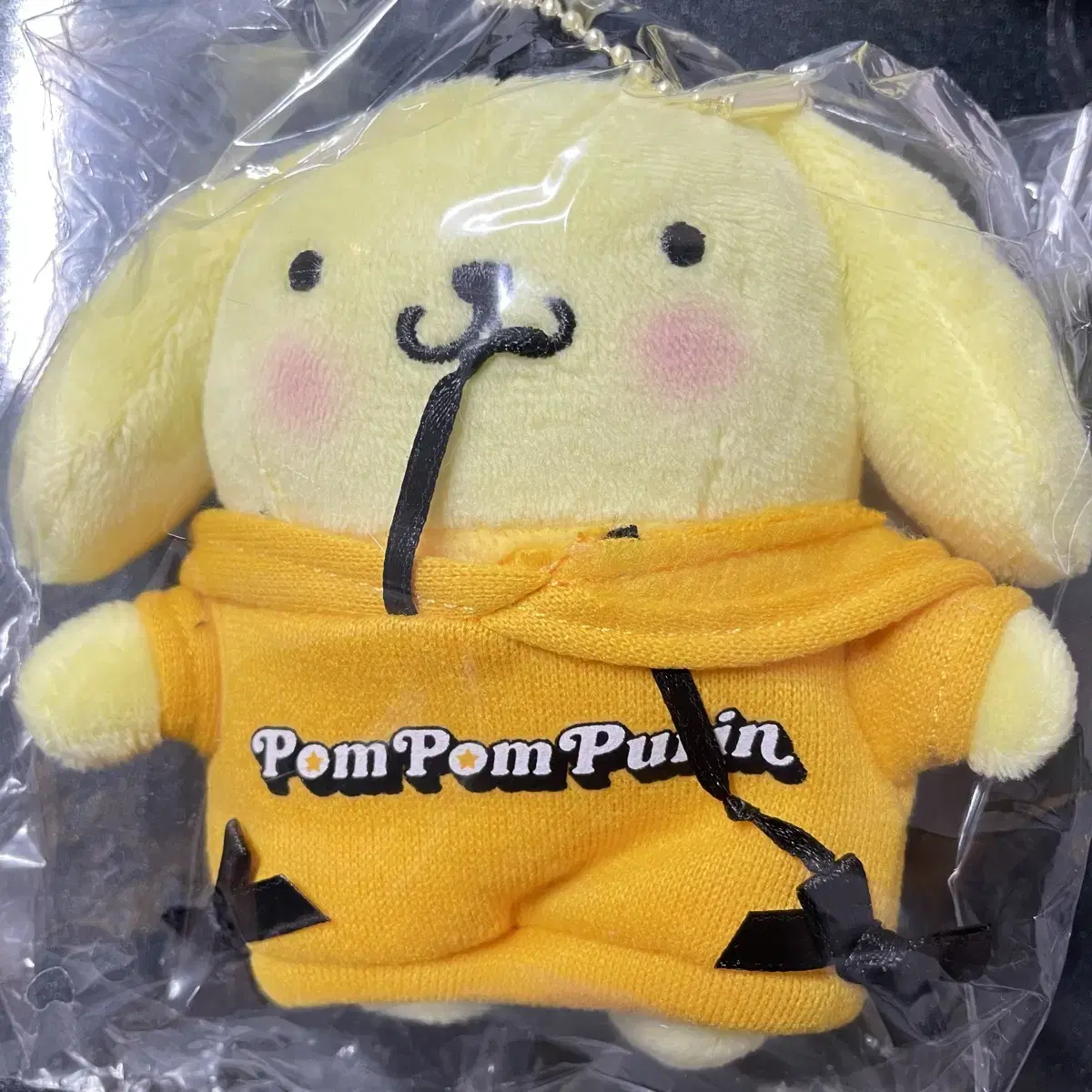 San Rio Halloween Koozie 15th Prize Pompompurin Mascot