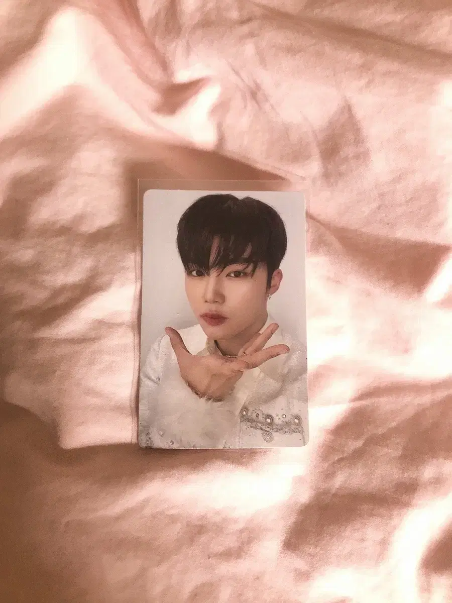 ZB1 Gunwook Melting Point photocard WTS/Zerobaseone park gunwook Melfo Alpo