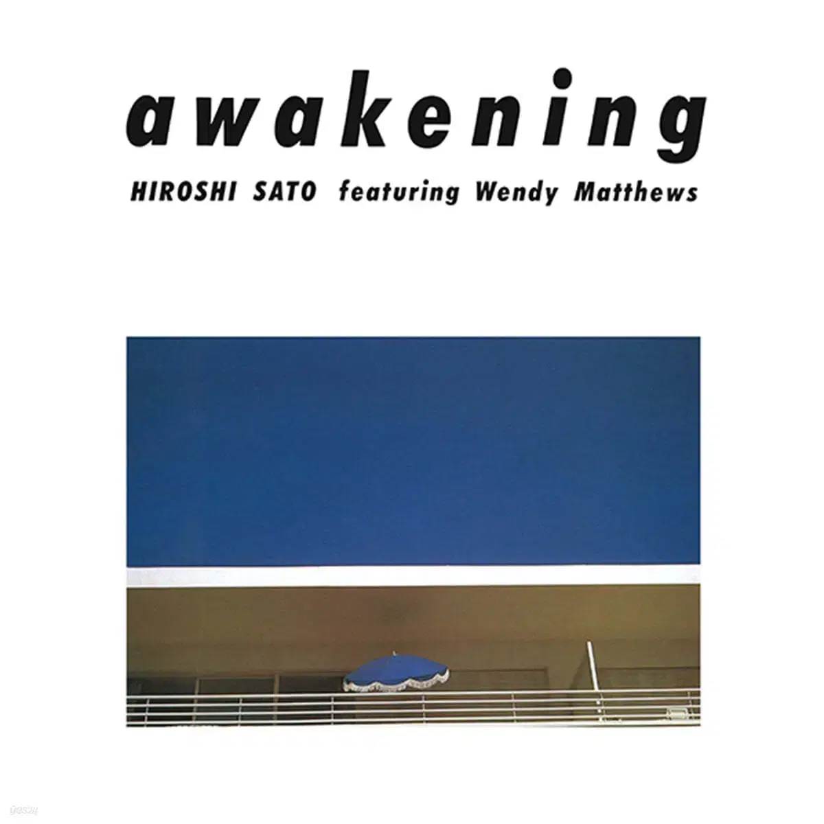 Awakening special edition 2Lp