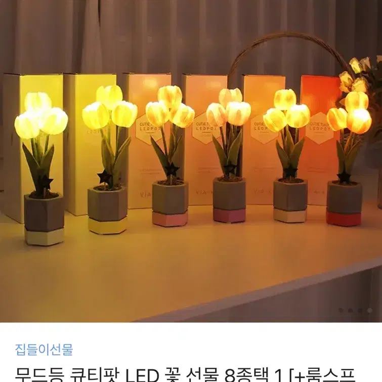 꽃 무드등 큐티팟 LED 조명