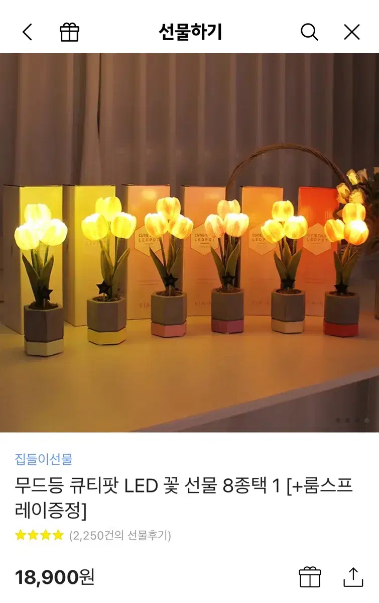 꽃 무드등 큐티팟 LED 조명