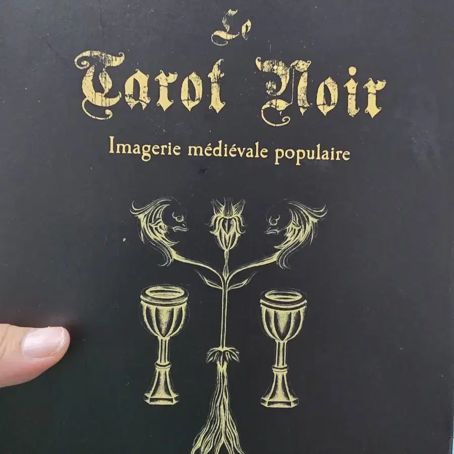 Le tarot noir