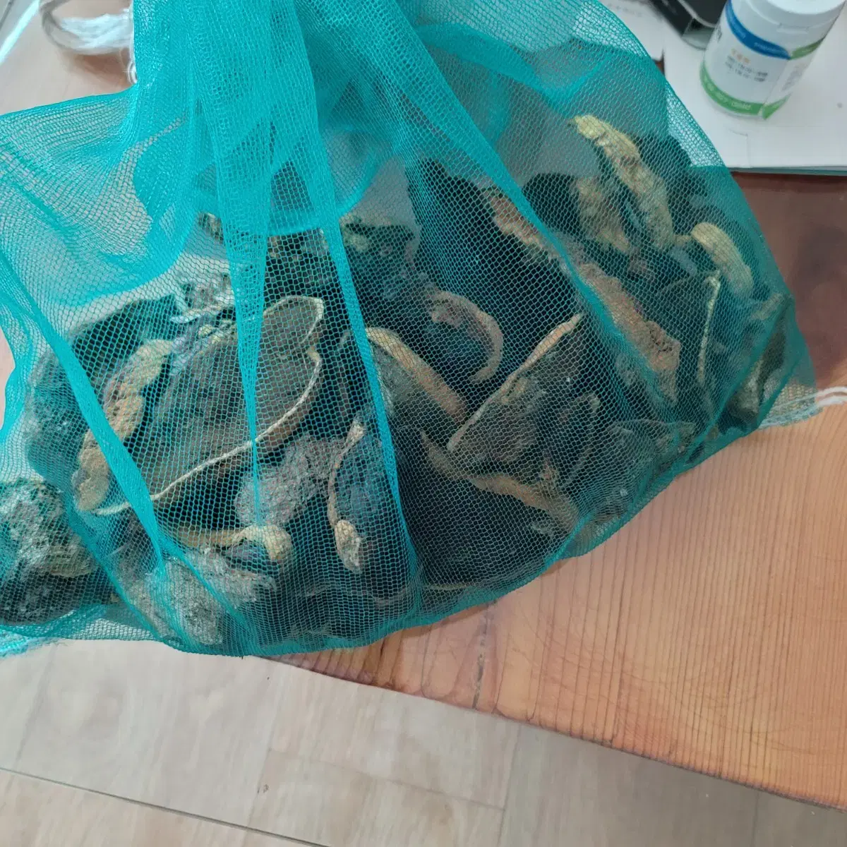 황철상황버섯 600g