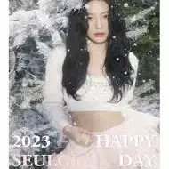 2023 생일파티 슬기 포카 포토카드 엽서 양도 생파 레드벨벳