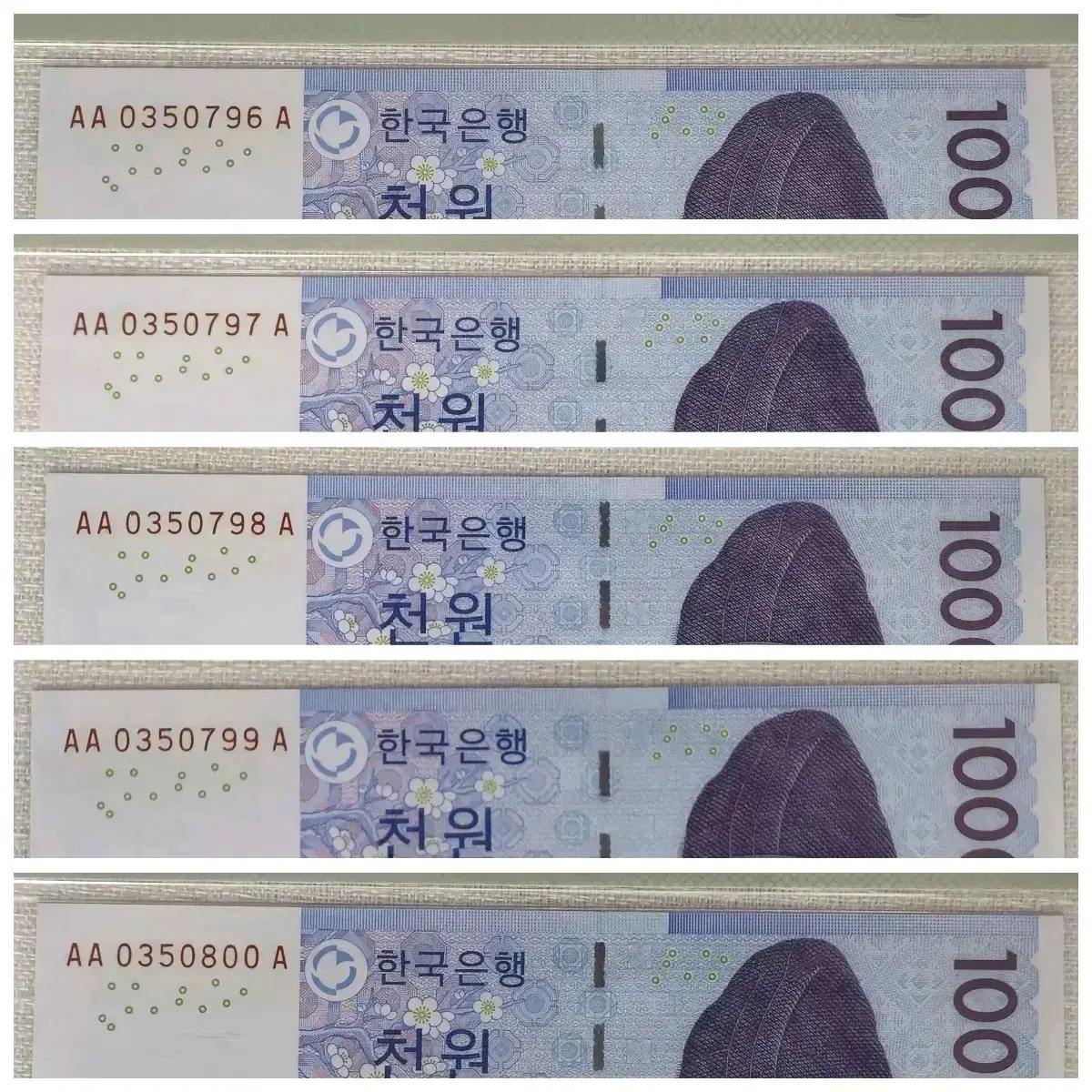 한국은행권 2007년 3차(다)1000원 초판,pmg67(5연번 일괄)