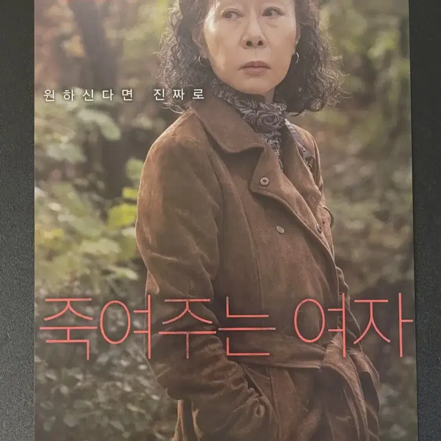 [영화팜플렛] 죽여주는 여자 전단지 (2016) 윤여정 윤계상 전무송