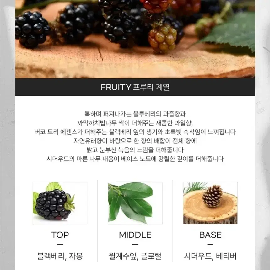 조말론 블랙베리 앤베이 100ml + 리필향수공병 1개