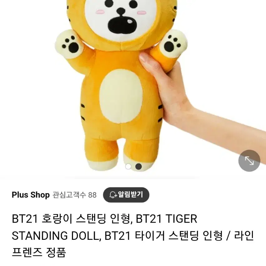 방탄진 호랑이 알제이 RJ