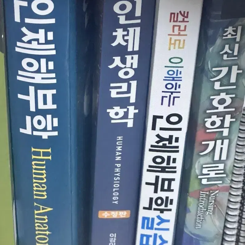 간호 책