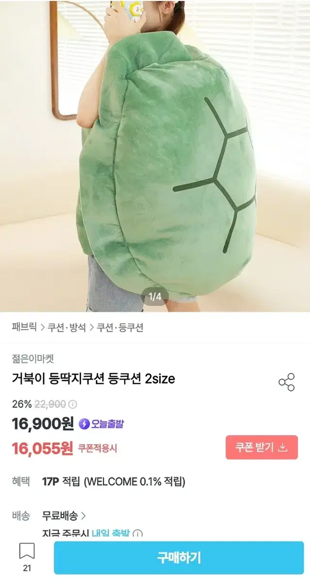 거북이 등껍질 쿠션(80cm)