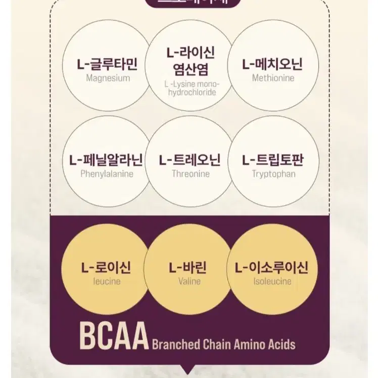 병아리콩 식물성 단백질 쉐이크 코코아라떼, 500g, 1개