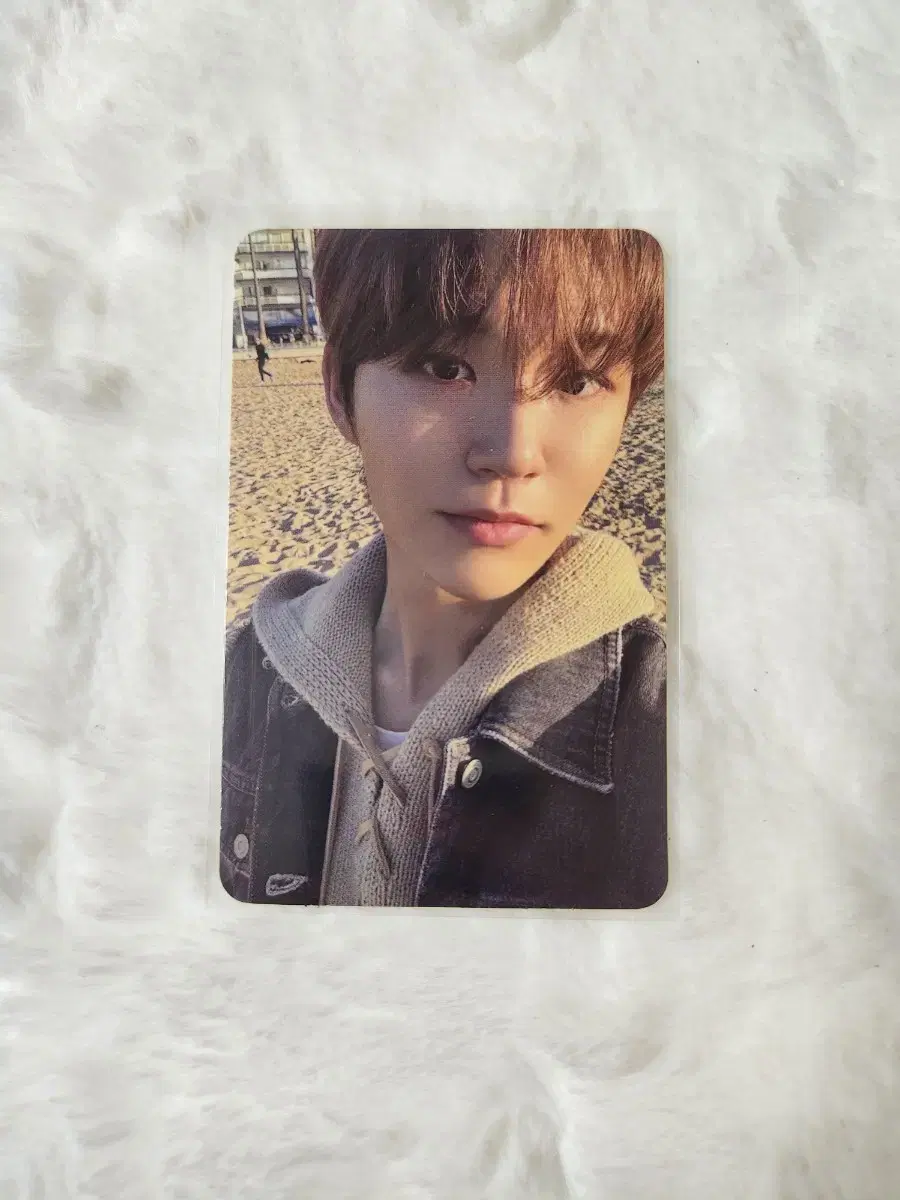 nct wish nwish wish albumphotocard alpo jaehee