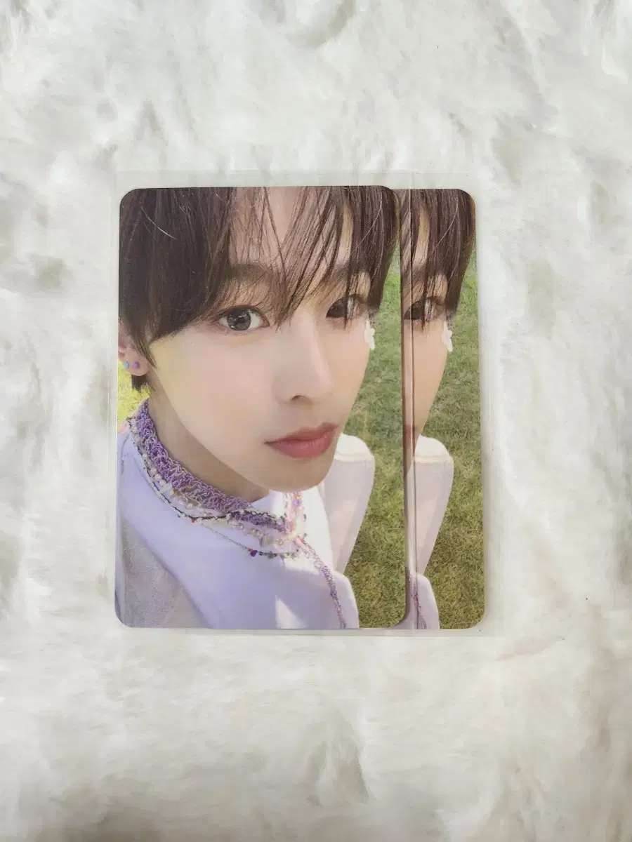 nctnct wish wish songbird letterversion albumphotocard alpo maeda riku