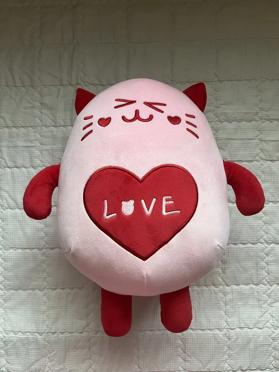 아스트로 로로하 문빈 냔냐 30cm