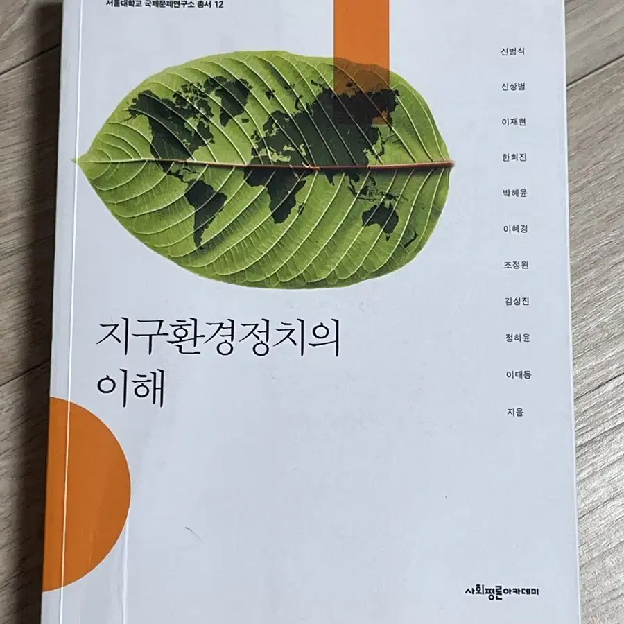 지구환경정치의 이해 도서 첵 판매