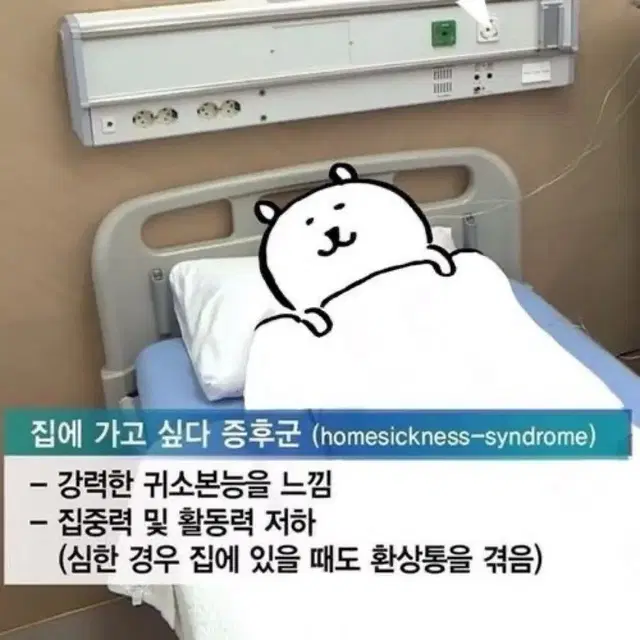 집에가고싶다담곰