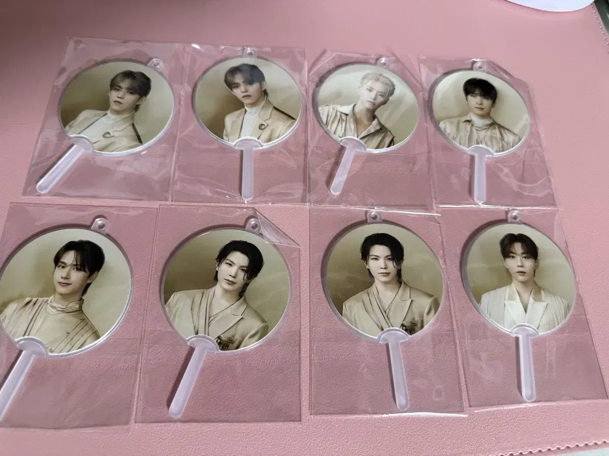 Seventeen Catcon wuchiwa keyring ld