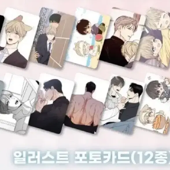 연제구 일간알바 연애제한구역 포카 포토카드 방포 방문포카 투니크