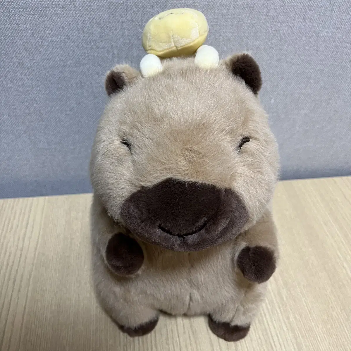 카피바라짱 고양이 25cm 인형