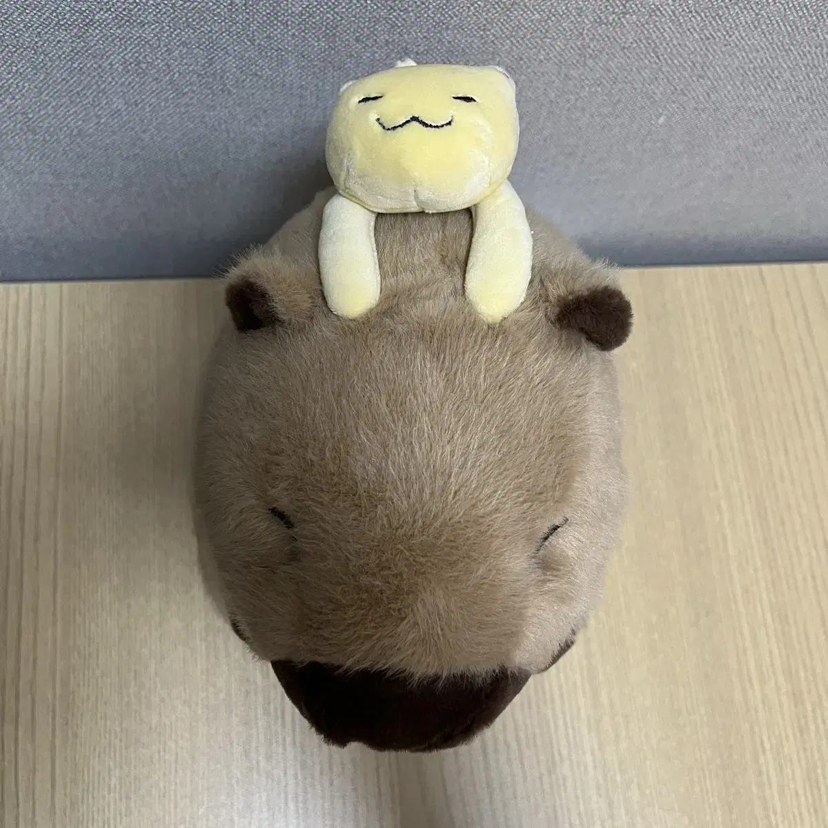 카피바라짱 고양이 25cm 인형