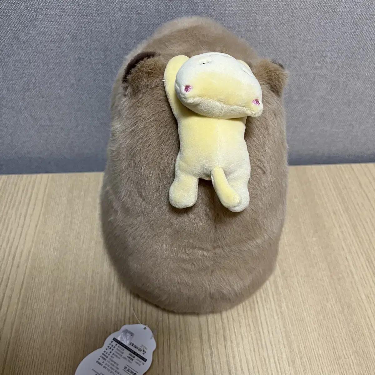 카피바라짱 고양이 25cm 인형