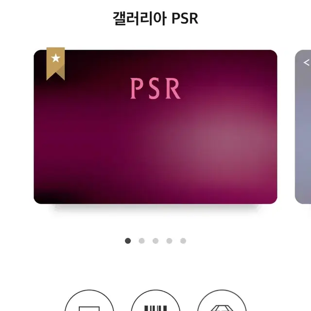 (무료)갤러리아에서 구매시 psr블랙등급 적용 할인