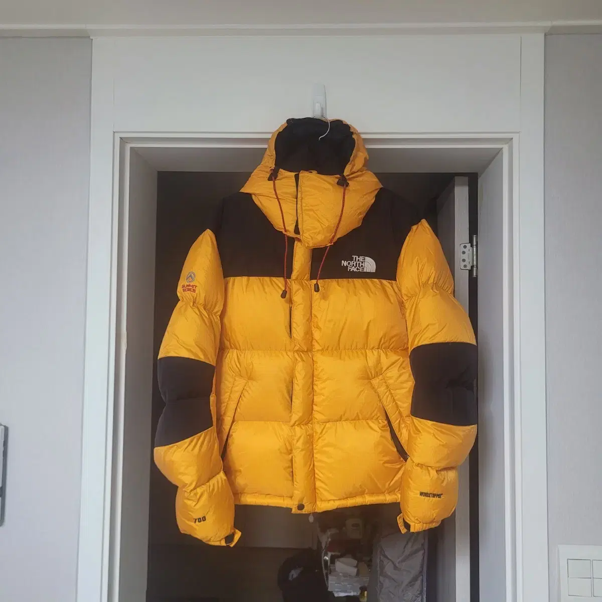 The North Face 700 Windstopper Down Padding