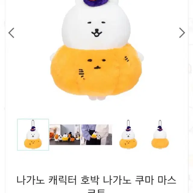 나가노마켓 호박 농담곰 호박곰