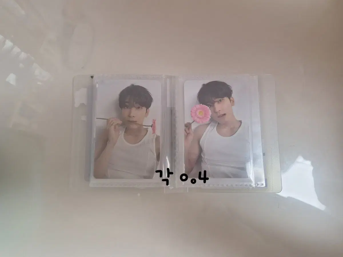 Wonwoo Deviations photocard WTS (feeding)