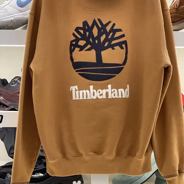 Champion x Timberland 셋업